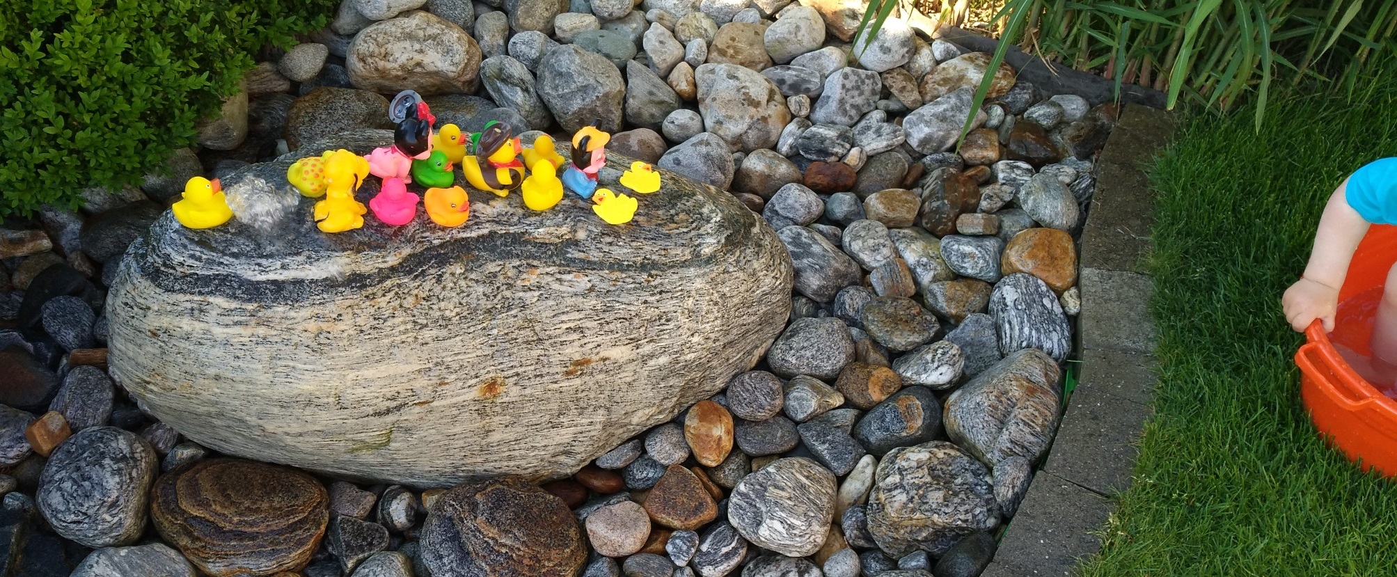 Kinder spielen mit Entchen