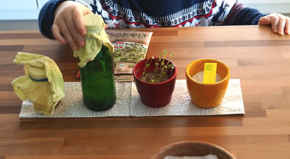 Samen und Gemüse - Buch Kinder Naturwerkstatt gärtnern mit Kindern
