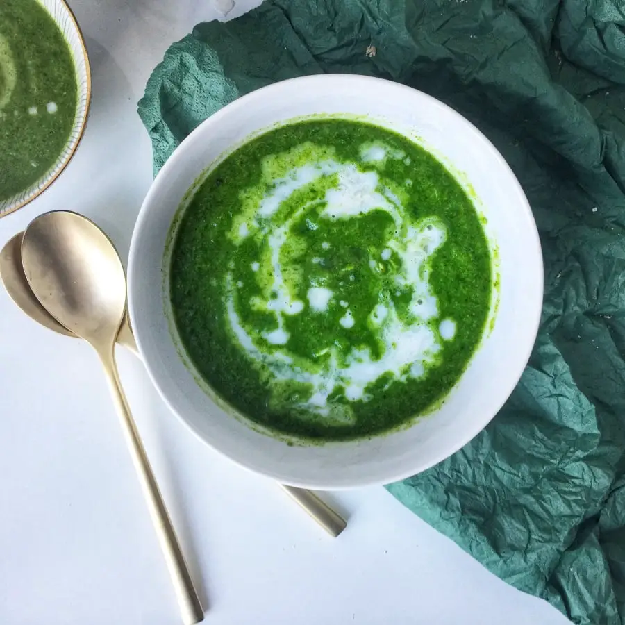 detox green grün suppe spinat broccoli brokkoli gesund vegan abnehmen rezept foodblog gastrezept